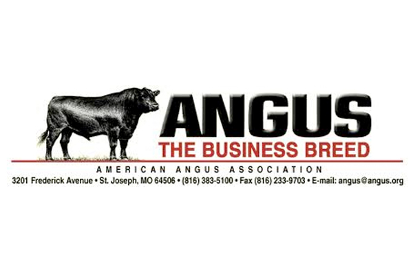 American Angus Association.jpg