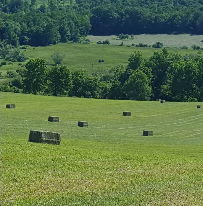 square bales.jpg